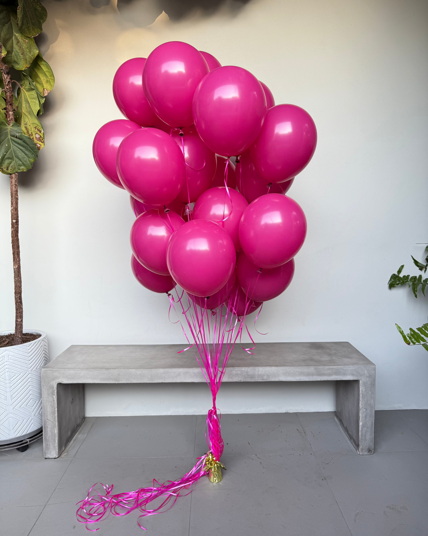 25 Helium Balloons (no weight)