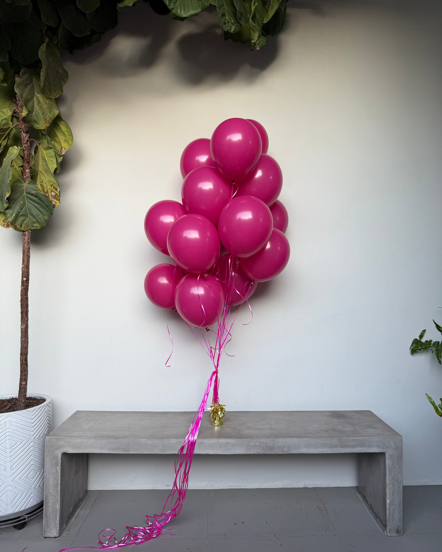 15 Helium Balloons (no weight)